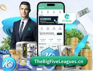 五大联赛 APP